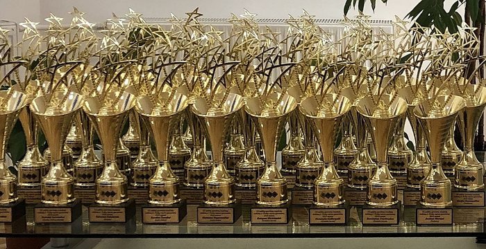Kviečiame į 2019 metų Trakų rajono sportininkų pagerbimą