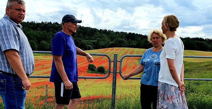 Merės kreipimasis dėl „aguonų lauko“ šalia Angelų kalvos