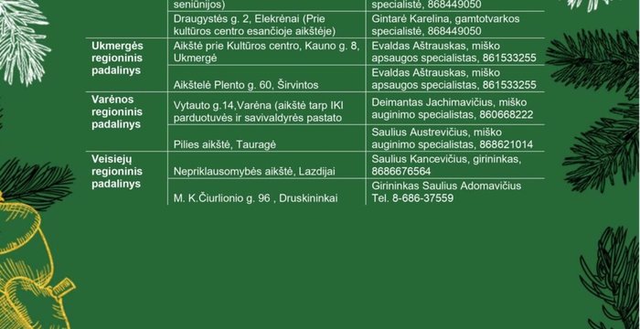 Prasidėjo tradicinė akcija „Parsinešk Kalėdas į savo namus“