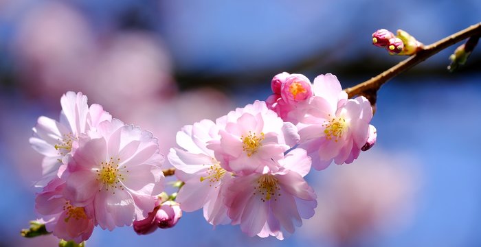 Sveikiname ugniagesius gelbėtojus šv. Florijono dienos proga !