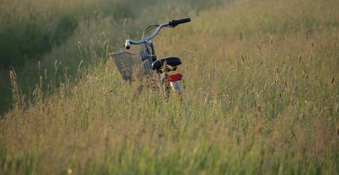 Informacija apleistų žemės sklypų savininkams