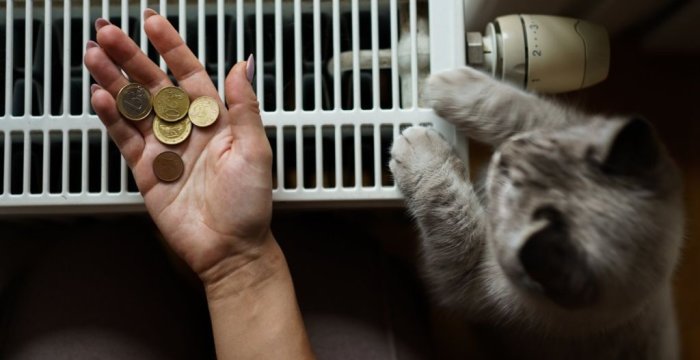 Priimami prašymai dėl  būsto šildymo, karšto ir geriamojo vandens išlaidų kompensavimo