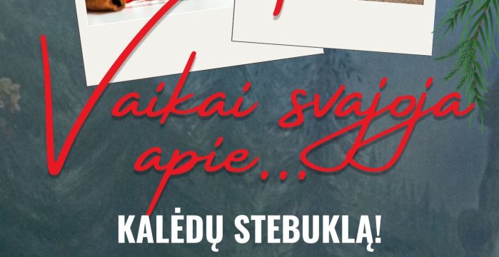 Sukurkime Kalėdų stebuklą kiekvienuose namuose !
