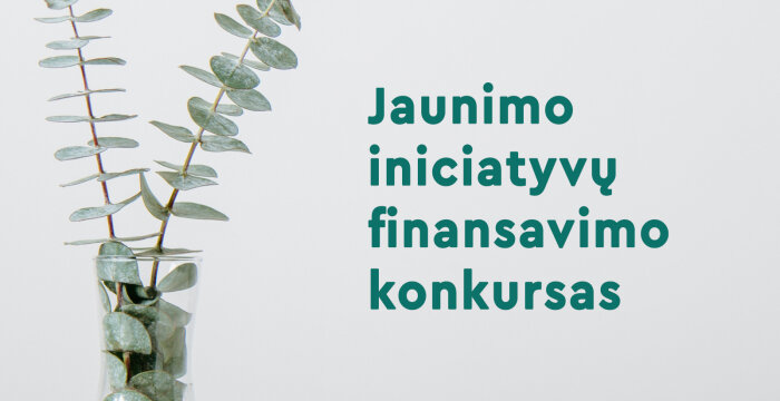 LiJOT skelbia jaunimo iniciatyvų finansavimo konkursą