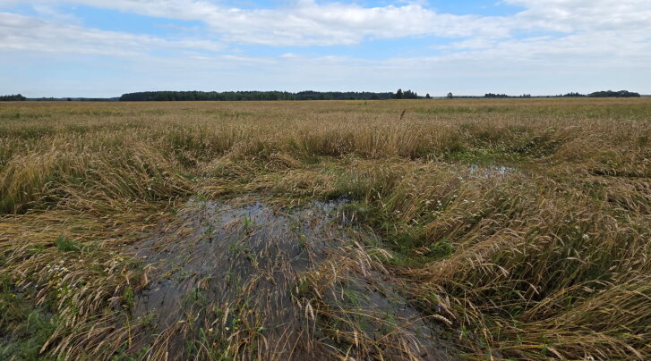 Senųjų Trakų seniūnijos naujienos