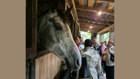 Atrask, įsitrauk, veik: socialinis verslas Trakų krašte