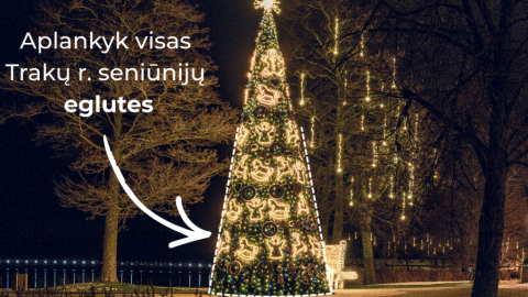 Konkursas – aplankyk visas Trakų rajono seniūnijų egles!