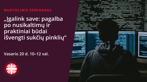 Kaip apsisaugoti nuo sukčių: nuotolinis seminaras