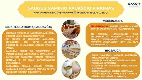 Kaip neparsinešti ligų perkant paukščius?