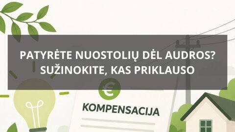 ESO kompensacijos po audros